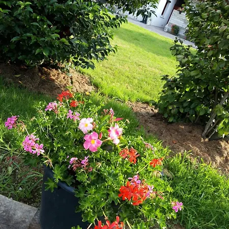 Alpesi faház Aterpea