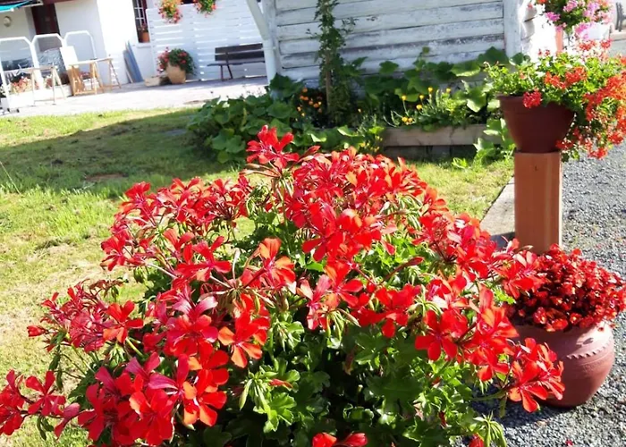 Aterpea * Saint-Pee-sur-Nivelle